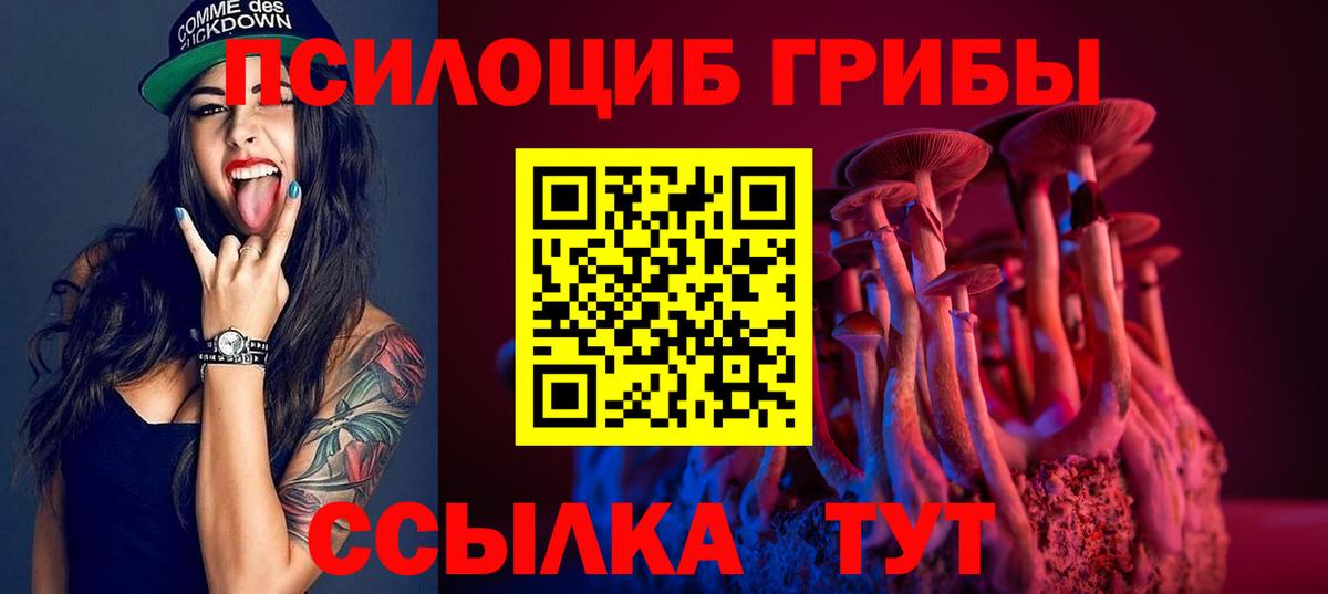 Галлюциногенные грибы GOLDEN TEACHER Сухой Лог