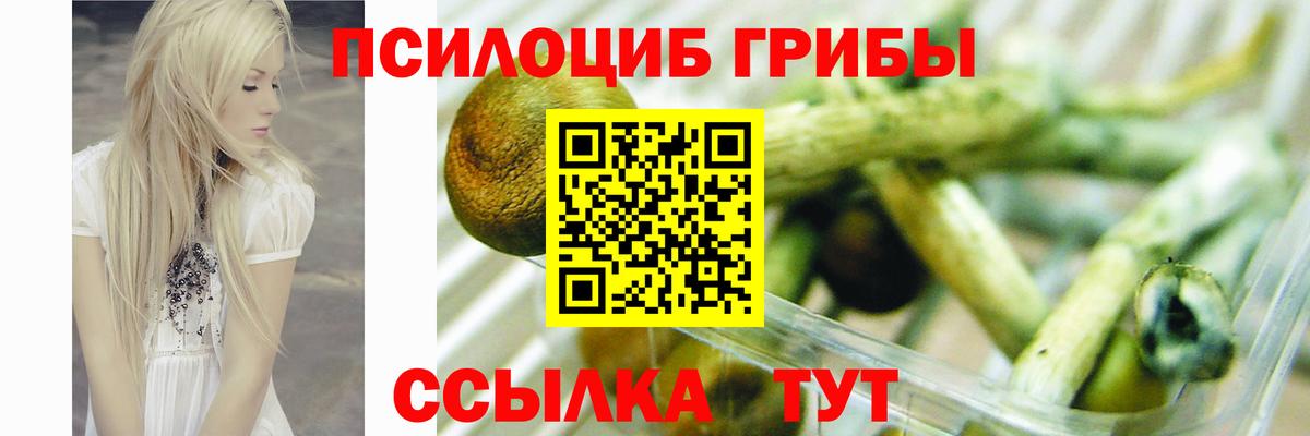 Псилоцибиновые грибы Cubensis  Галлюциногенные грибы GOLDEN TEACHER  Вход с VPN  Сухой Лог 